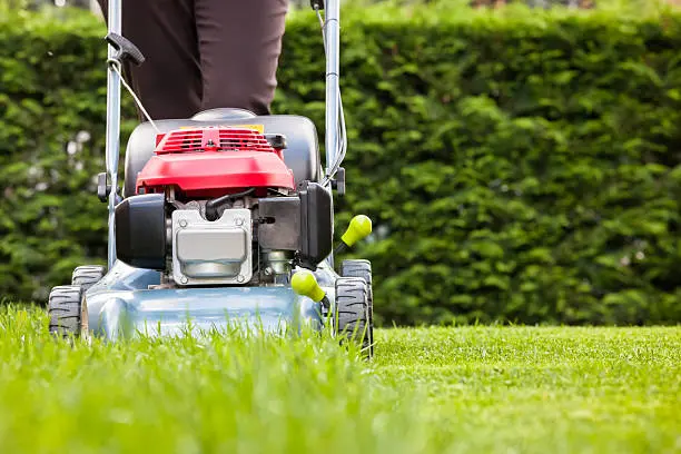 Lawn Edging and Mowing