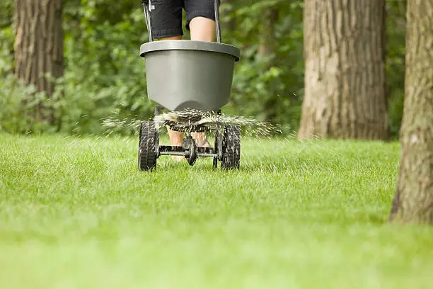 Lawn Fertilization in Fort Lauderdale, FL