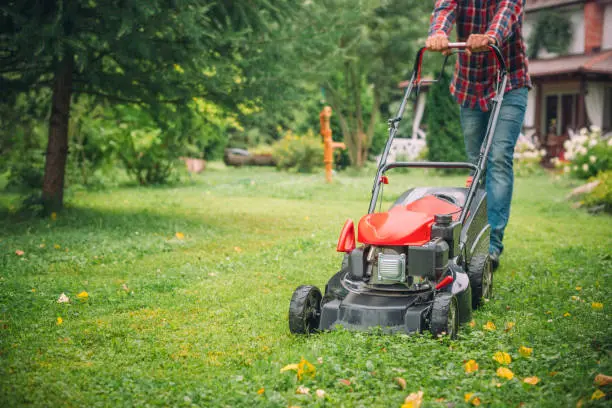 Lawn Mowing Fort Lauderdale, FL