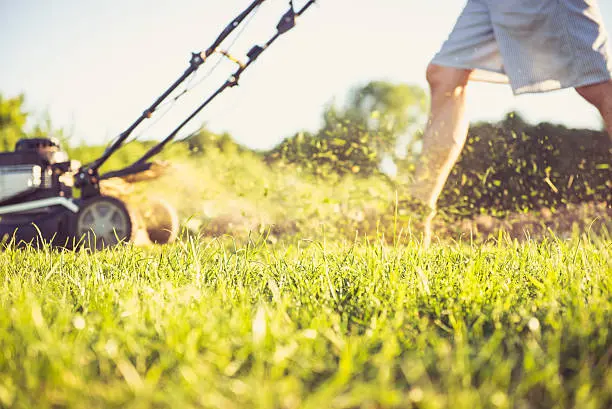 Lawn Mowing in Fort Lauderdale, FL