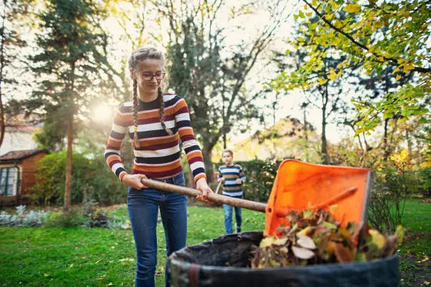 Reliable Yard Cleanup in Fort Lauderdale, FL