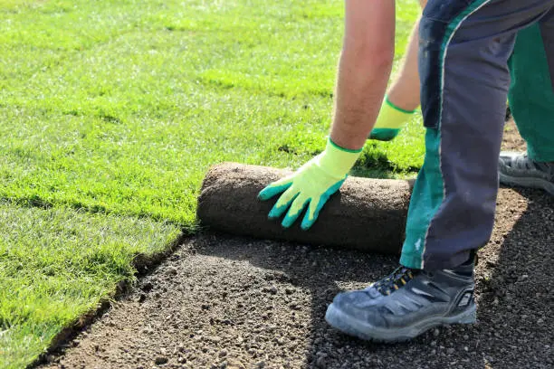 Sod Installation Fort Lauderdale, FL