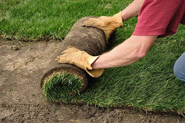 Sod Installation in Fort Lauderdale, FL