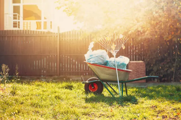 Yard Cleanup in Fort Lauderdale, FL